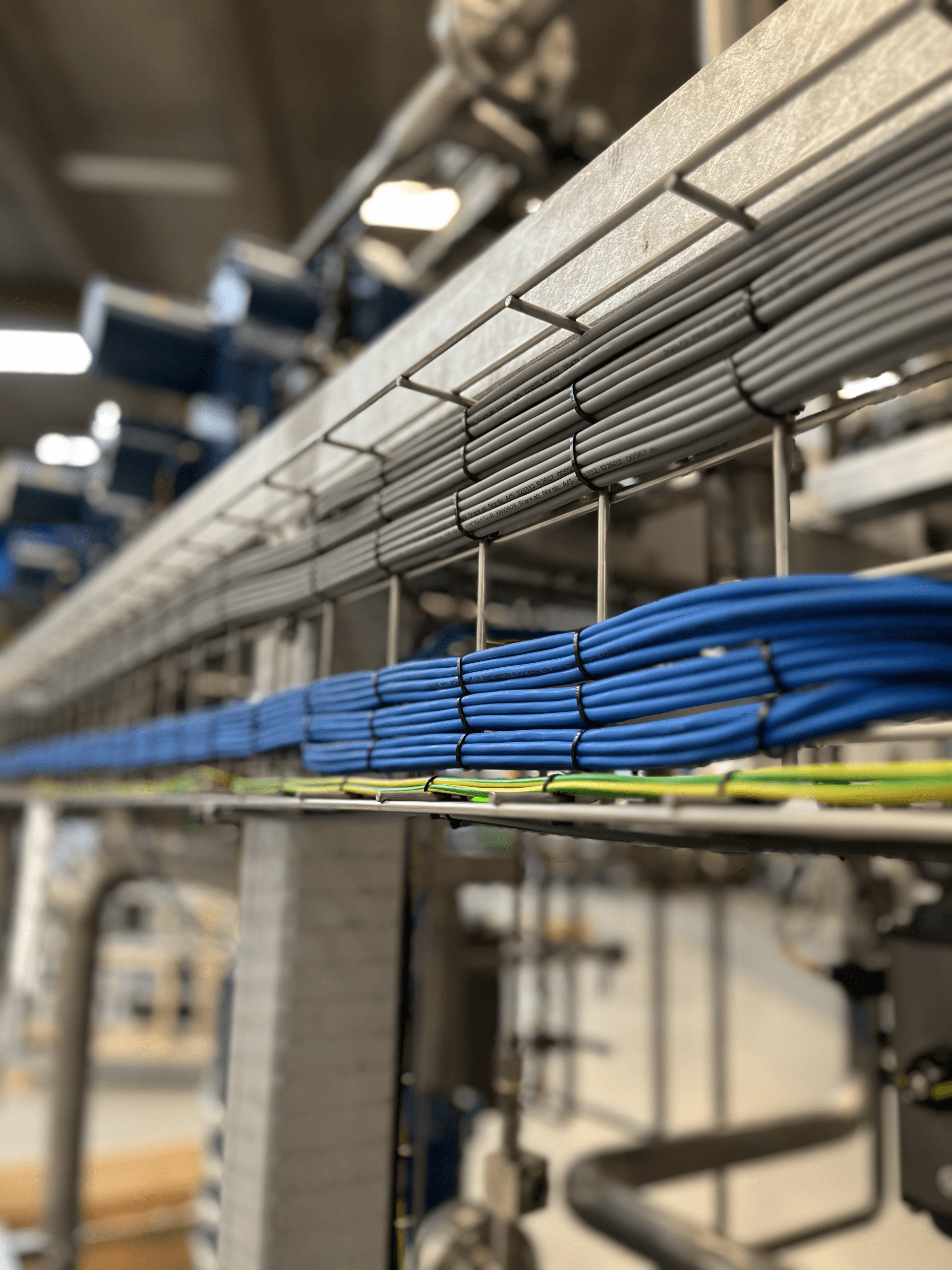 Kabelbakke med ordnede industriledninger